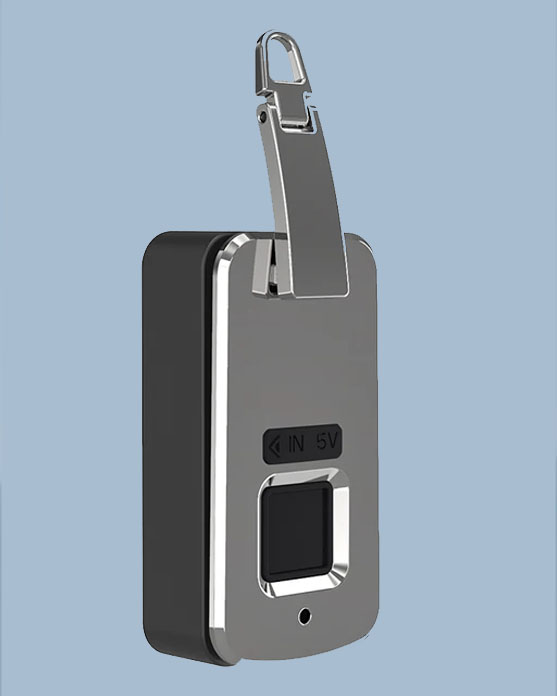 Fingerprint Bag Lock